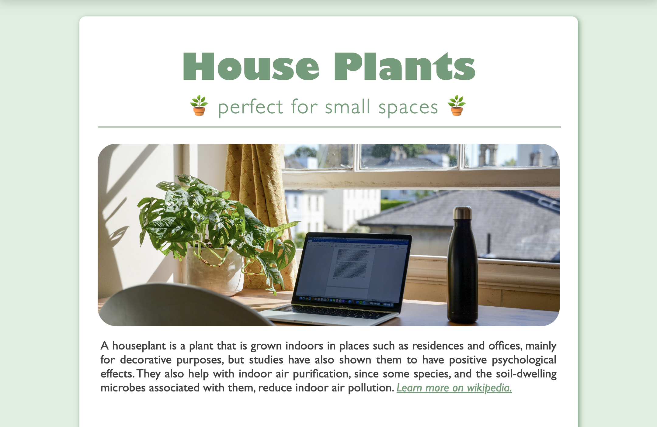 houseplant page preview